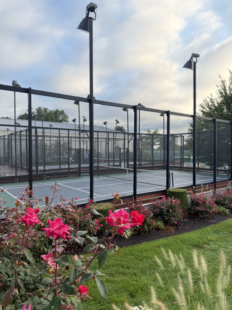 Platform tennis courts bordered by a rose garden and landscaping
